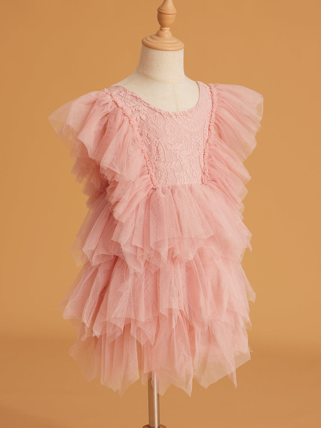 Lace Tulle Short/Mini Dress