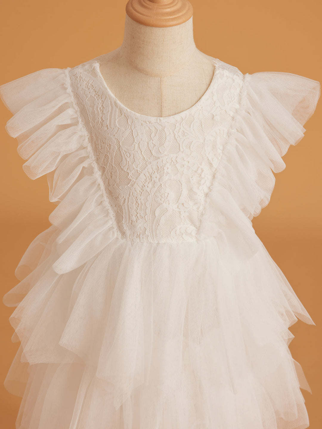 Lace Tulle Short/Mini Dress