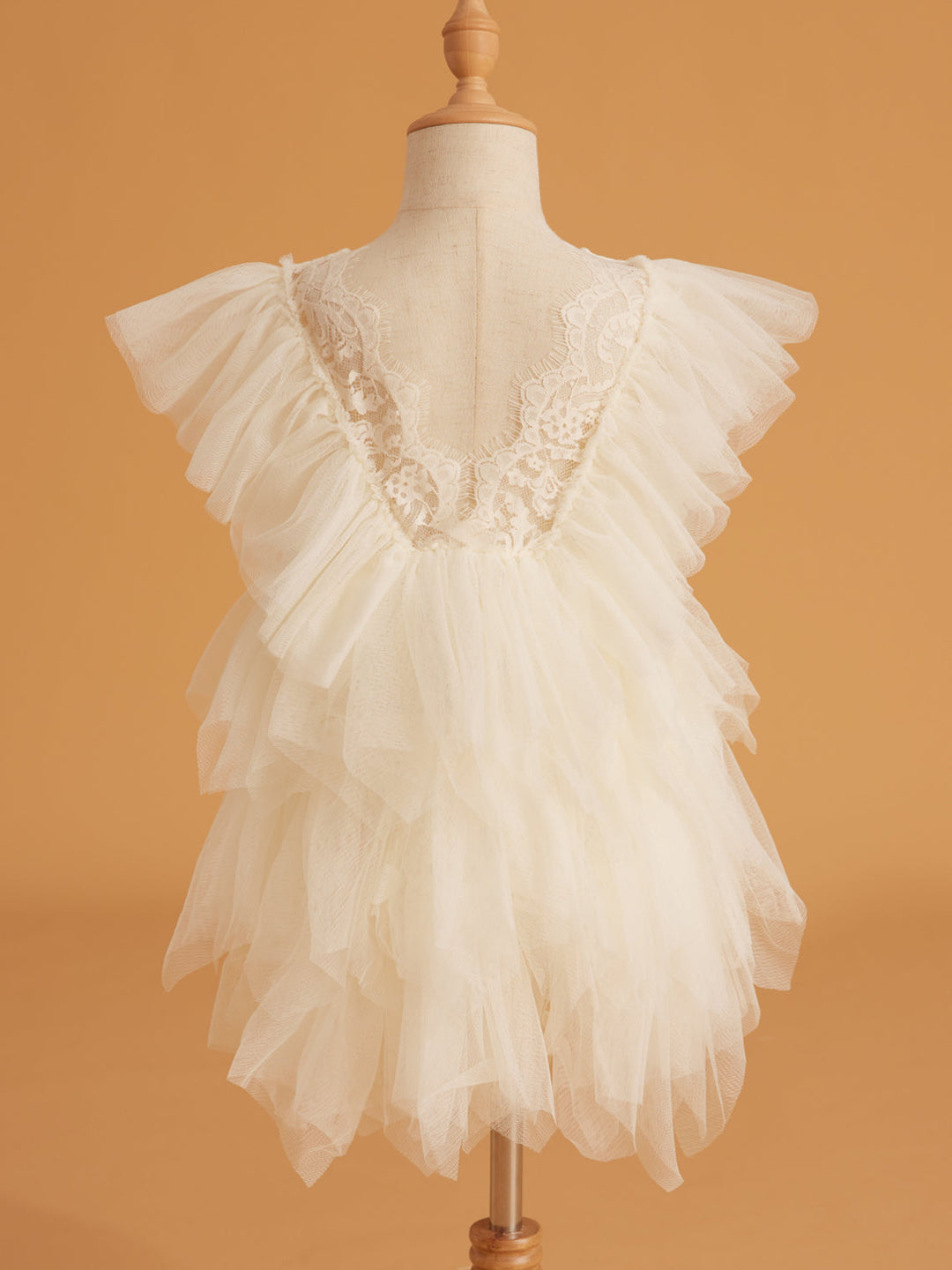 Lace Tulle Short/Mini Dress