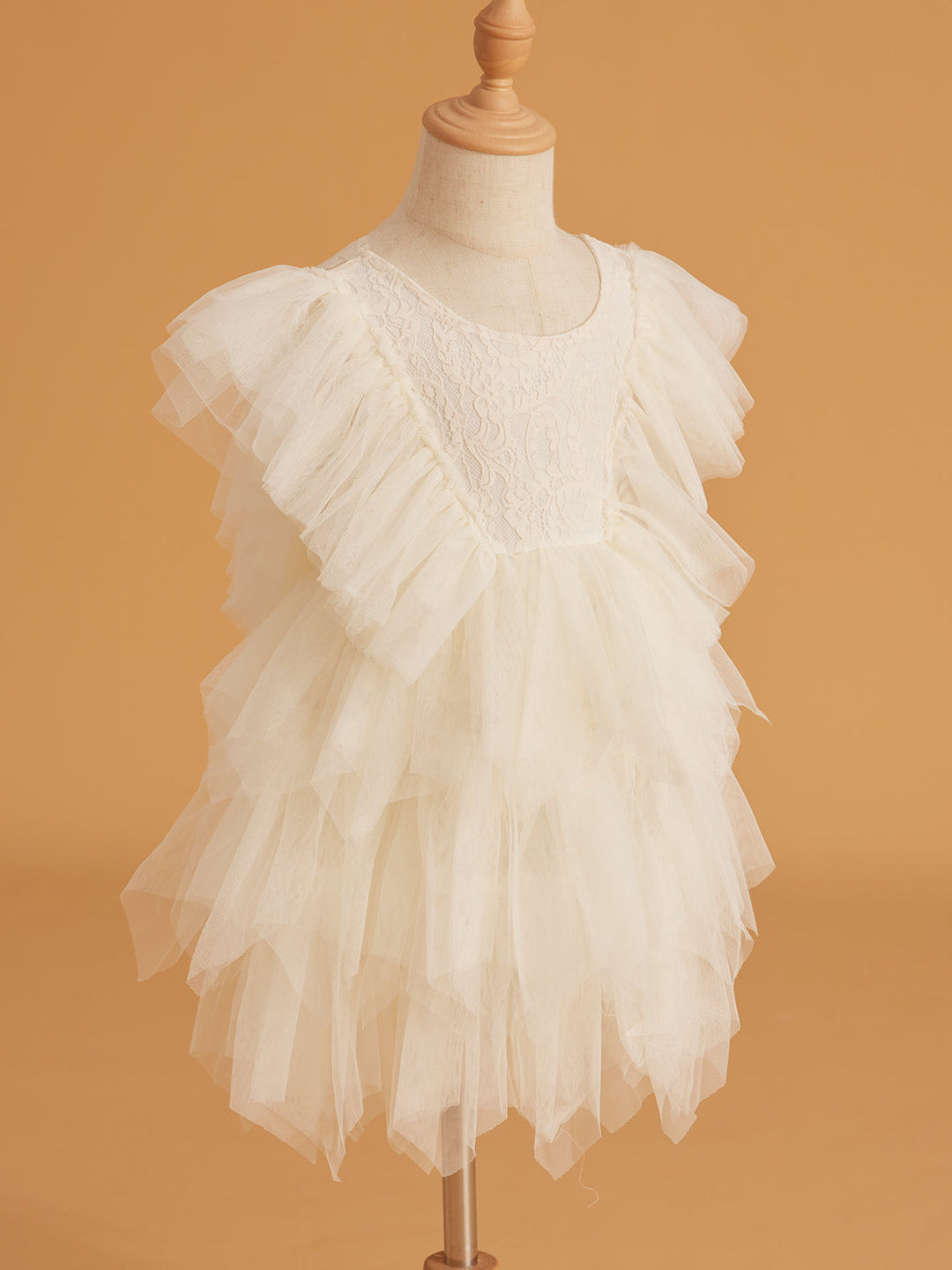 Lace Tulle Short/Mini Dress