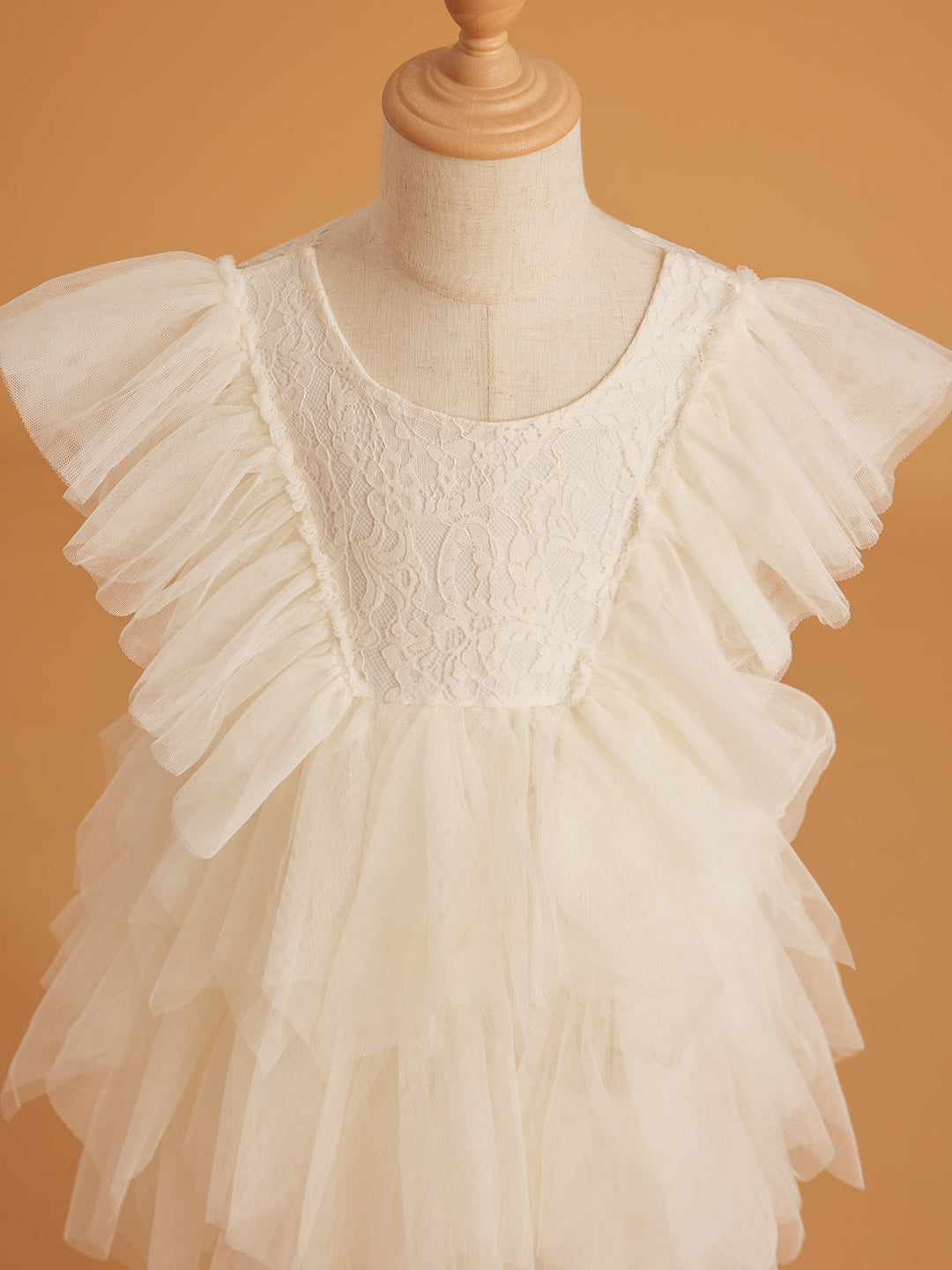 Lace Tulle Short/Mini Dress